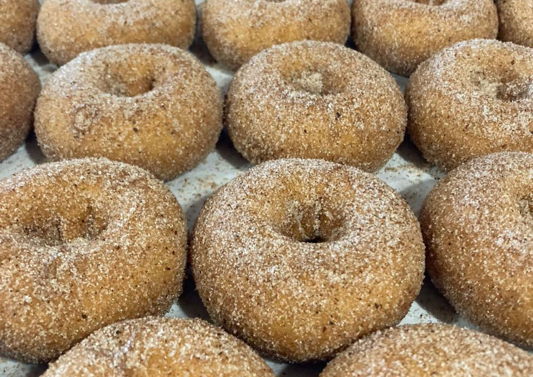 trueman tulip u-pick