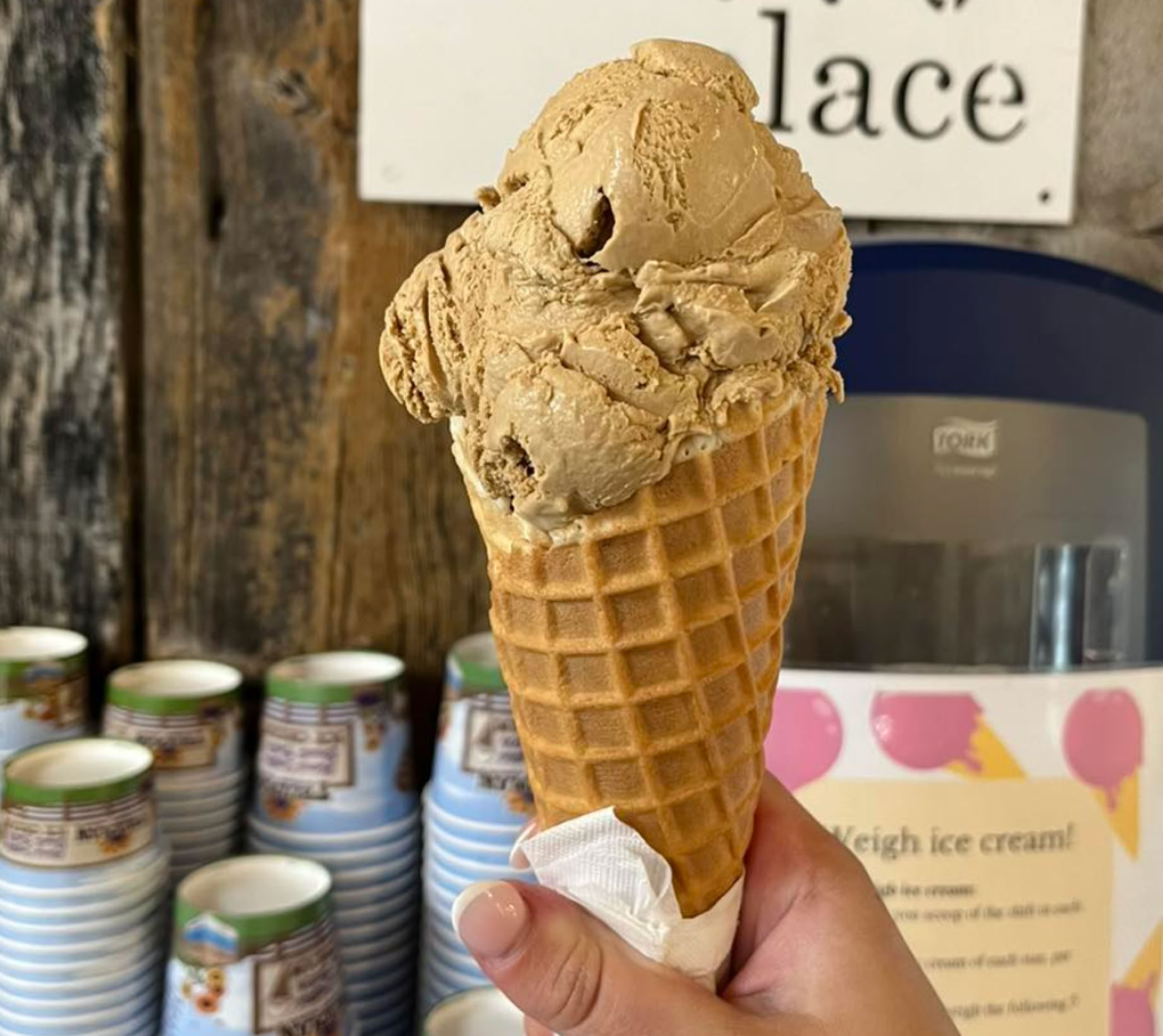 trueman tulip u-pick