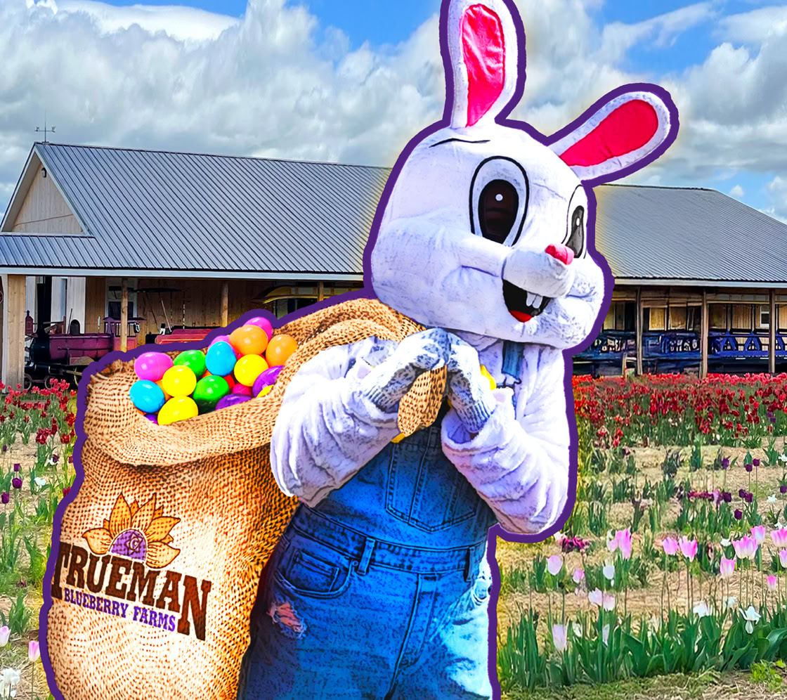 The Eastwer Bunny with a sack filled with colorful eggs, standing in front of a field of flowers and a building with a metal roof.