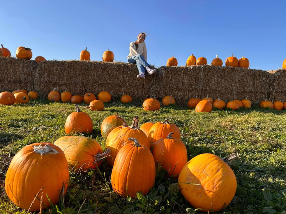 A person sitting on a hay bale surrounded by numerous pumpkins on the ground and on the hay bale, under a clear blue sky.