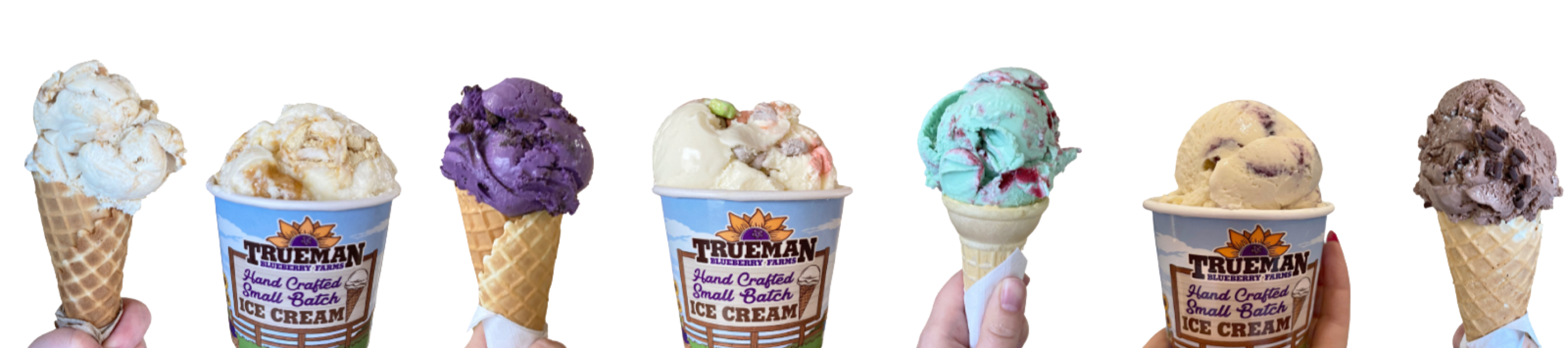 Trueman Hand Crafted Icecream