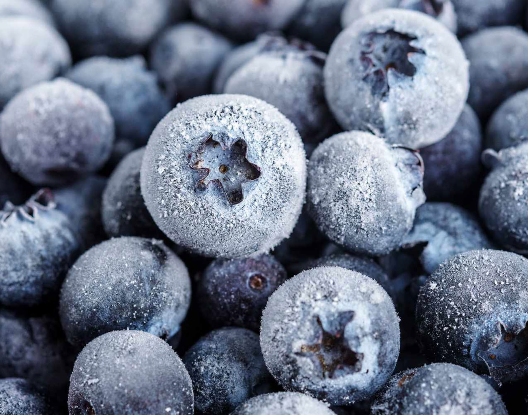 trueman tulip u-pick