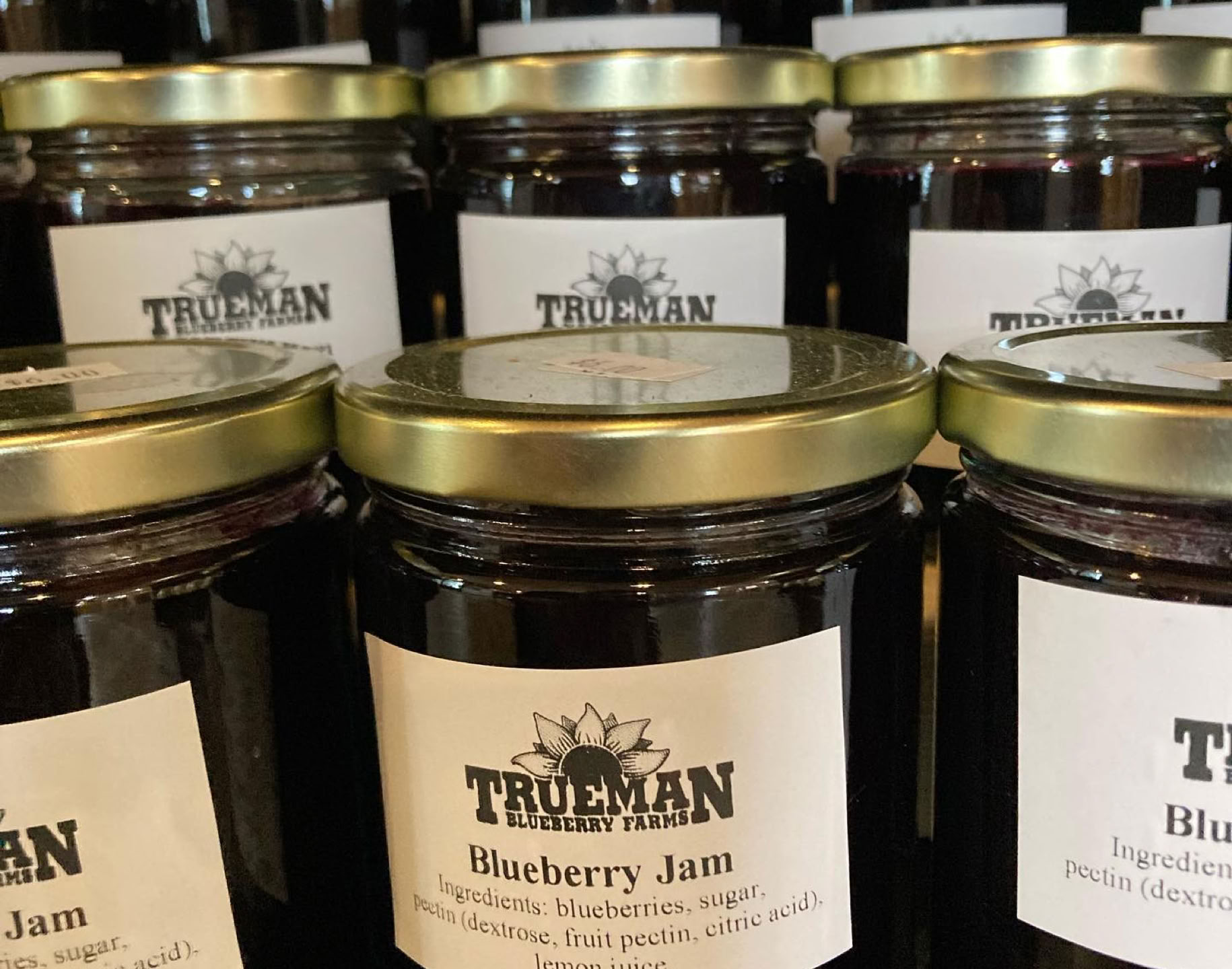 trueman tulip u-pick